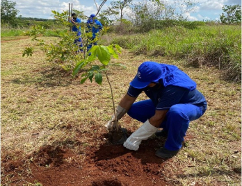 Virada Ambiental